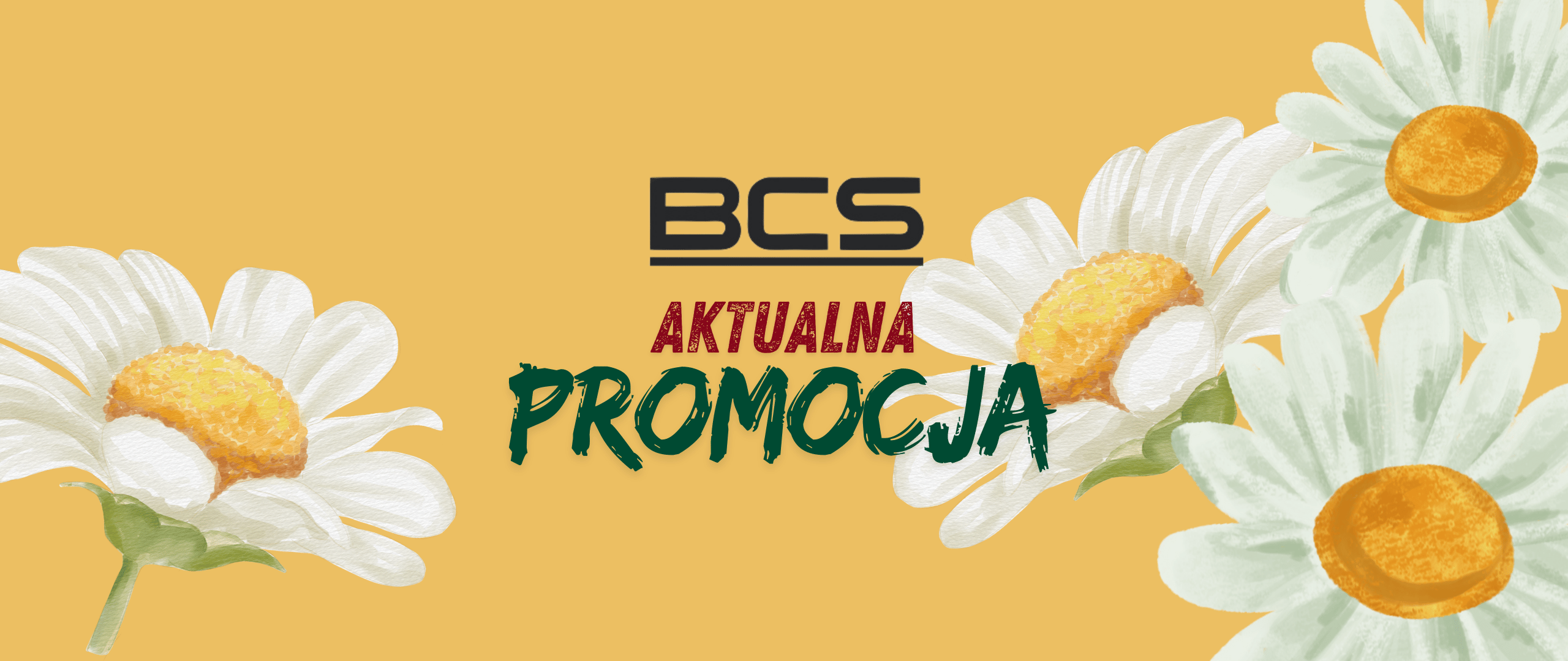 BCS aktualna promocja