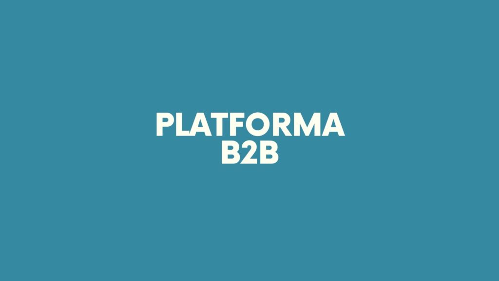 Platforma B2B - Format-MS Plus